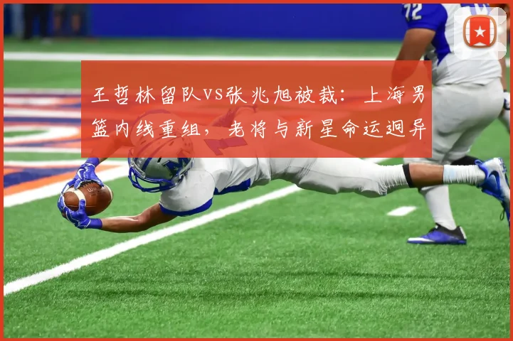 王哲林留队vs张兆旭被裁：上海男篮内线重组，老将与新星命运迥异