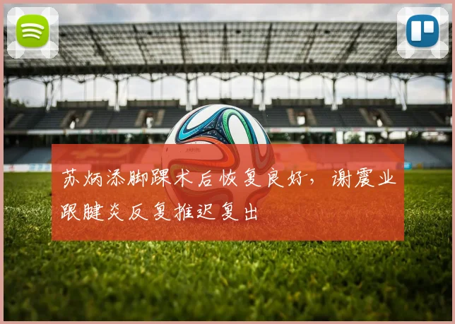 苏炳添脚踝术后恢复良好，谢震业跟腱炎反复推迟复出